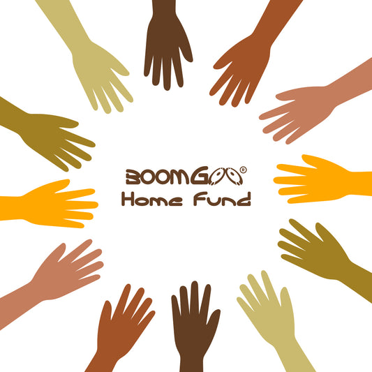 BoomGoo Home Fund - Be the Change