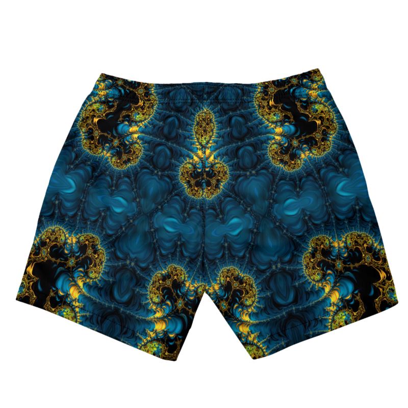 BoomGoo® Boxers (swim) F1632 "Celestial da Vinci" 2